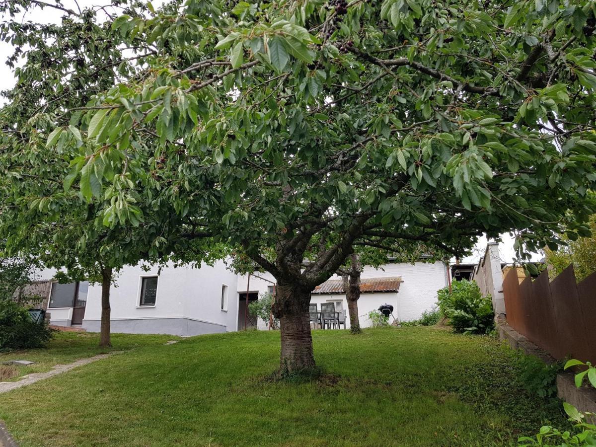 Maisonette Im Hof Krupp Bruchhausen  Eksteriør bilde